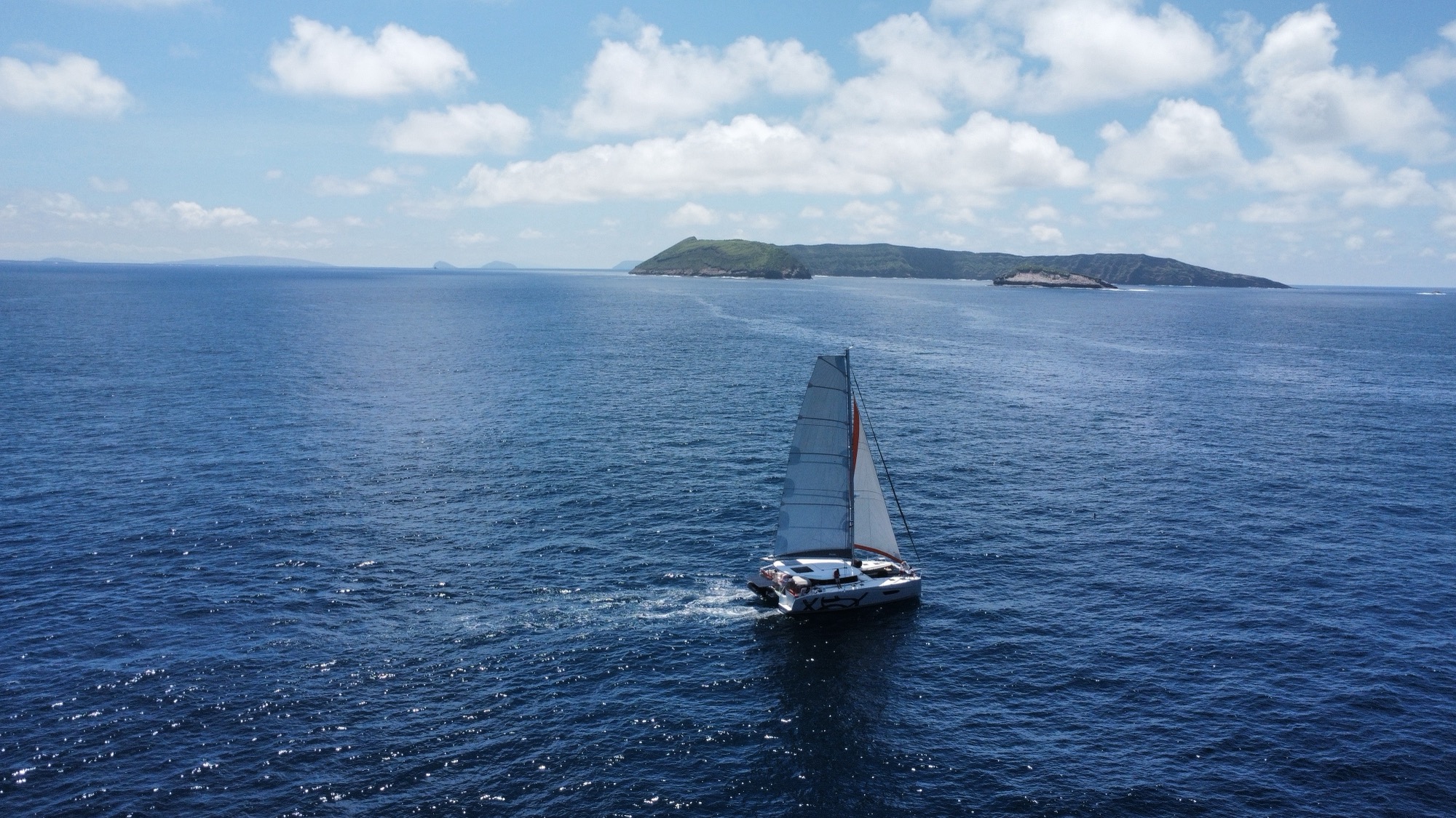 Pélican naviguant à la voile devant des îles, Polynésie française