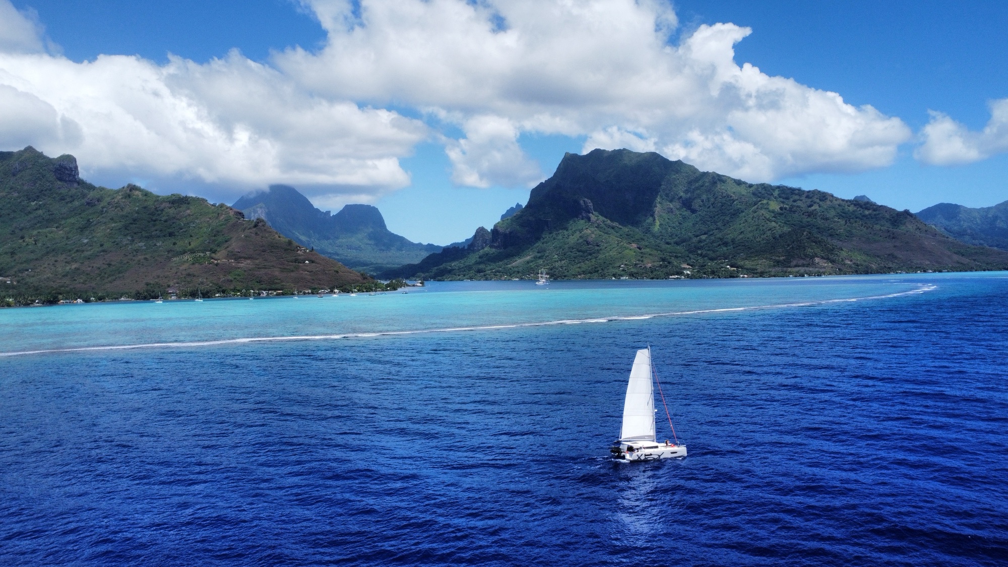 Pélican naviguant sous voiles devant la passe et les montagnes de Moorea, Polynésie française